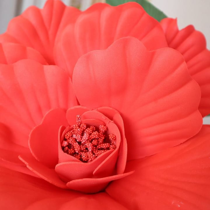 The Grand Peony Bloom